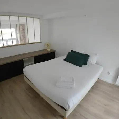 Apartmán Loft Industriel - Hyper Centre Cambrai